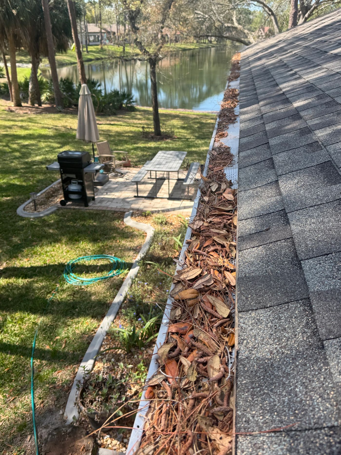 Gutter packed with pine needles and leaves before cleaning, overlooking a Florida backyard and pond